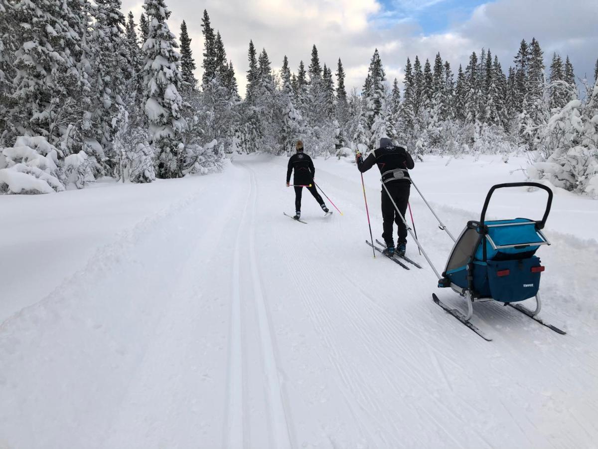 Karolinen Stugor & Laegenheter Åre Eksteriør billede